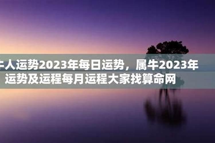 1985属牛人2023年的运势不好