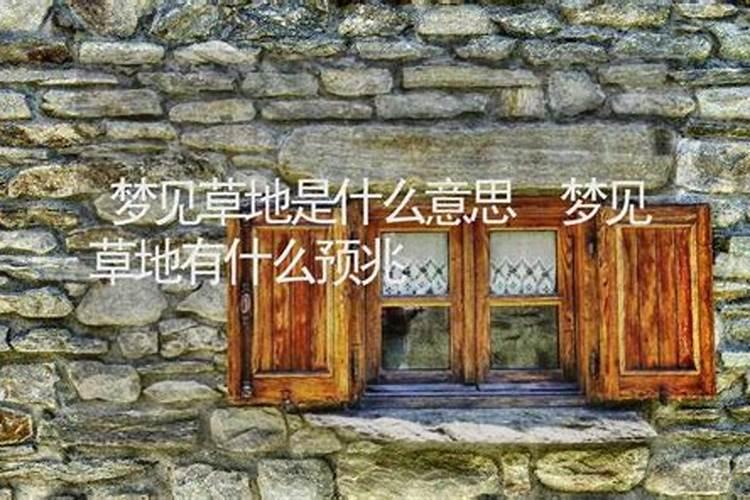 梦见草地上有牛屎什么意思