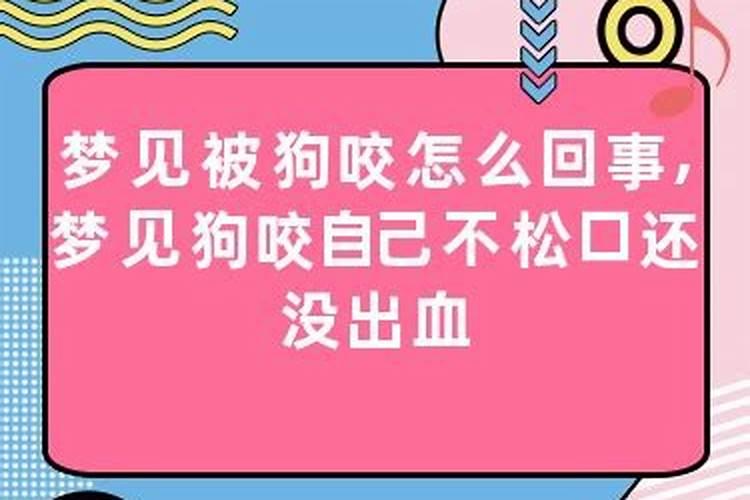 梦见放马,马跑了什么预兆呢解梦