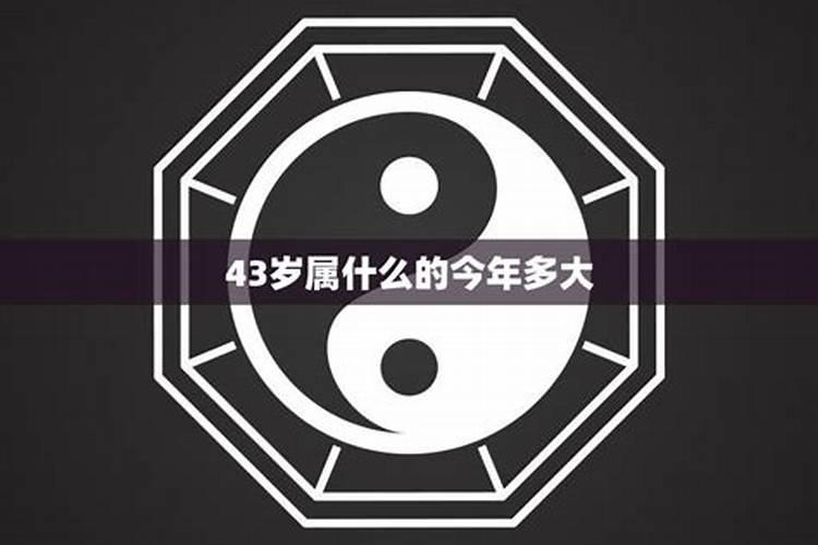 43岁人属什么的