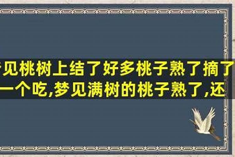 梦见自家桃树上的桃被别人偷吃了