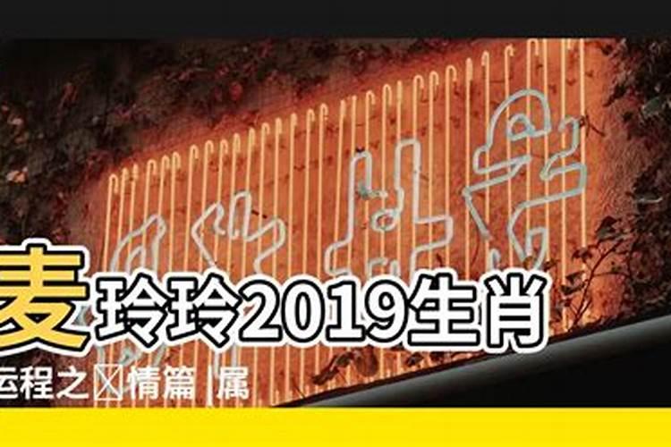 2019年属蛇全年运势