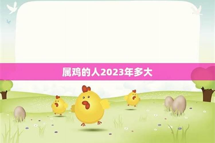 2023属鸡的年龄表