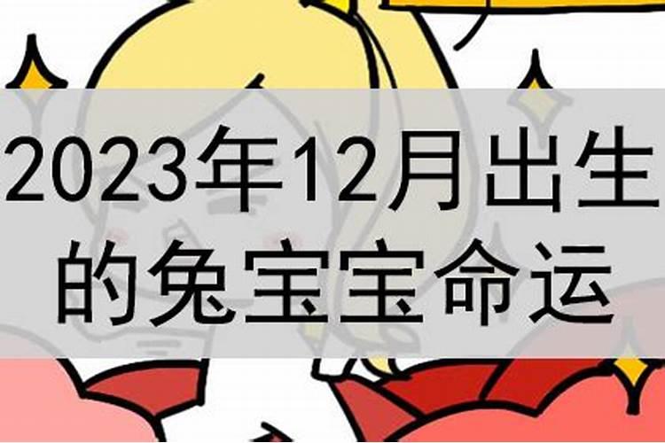 属兔的12月出生