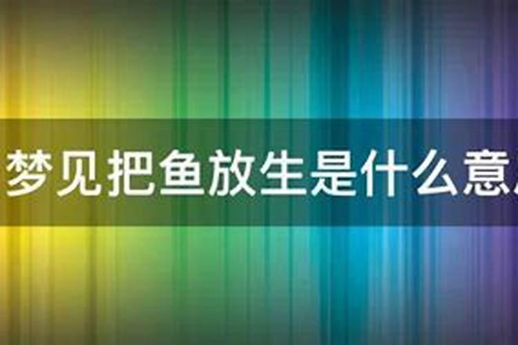 梦到把大鱼放生