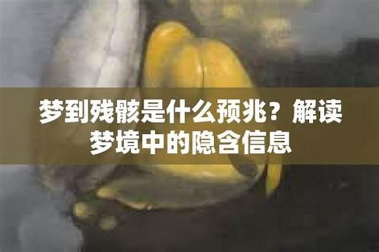 梦到尸骨残骸