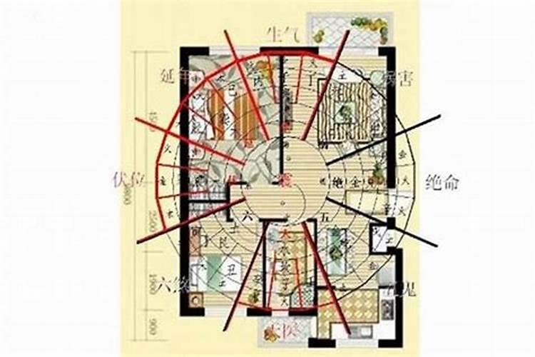 1981年属鸡的和1982年属狗的和不