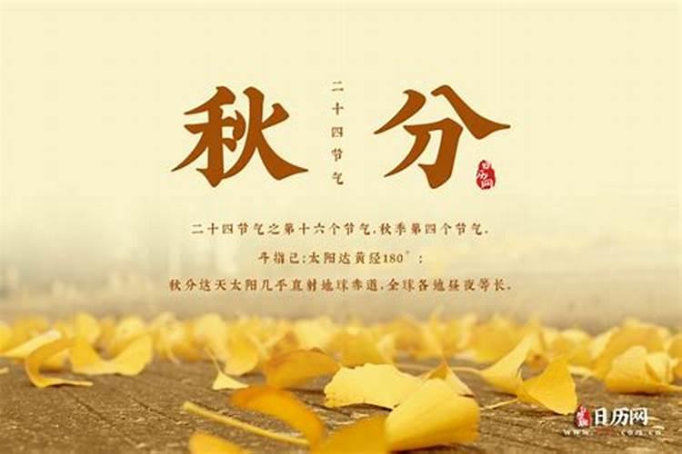 将星童子煞在日柱