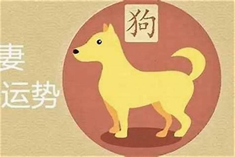 属兔人婚配属猴人好不好呢