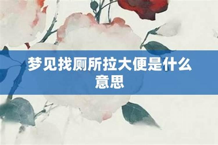 梦见妻子大便老婆拉屎预示将来会发生什么