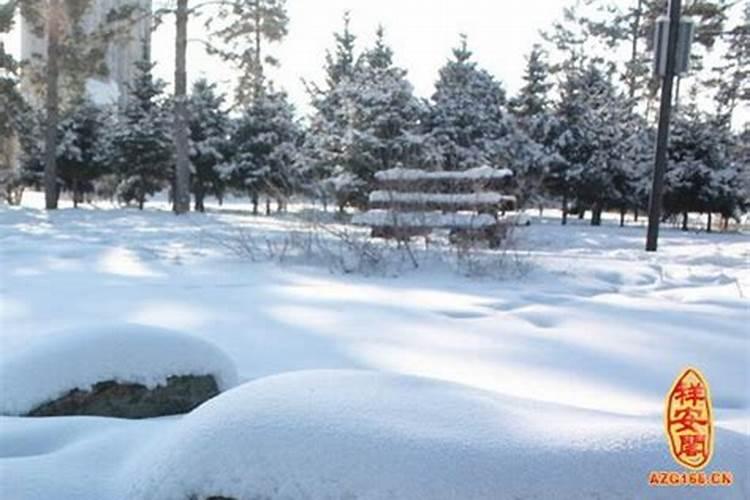 梦见满地雪