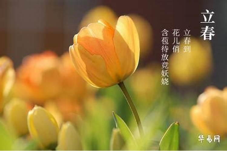 重阳节带父母去江苏哪里