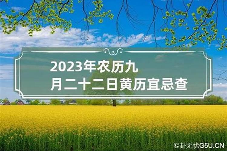 2023年出生的兔命运如何