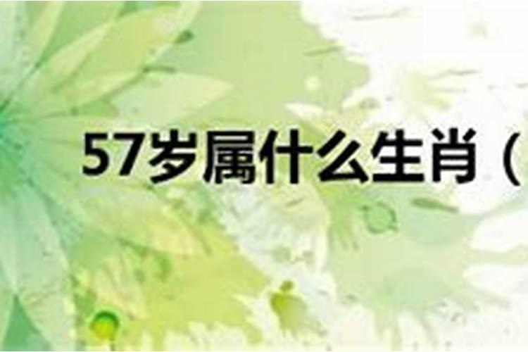 57岁属什么的,多大了