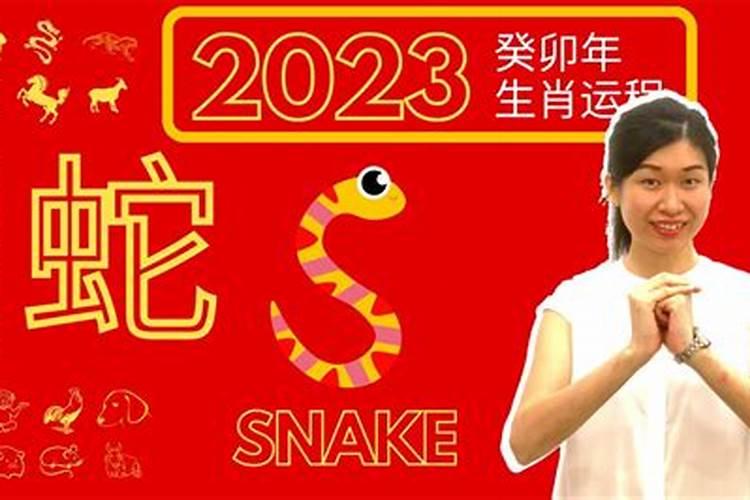 生肖蛇2023年运程