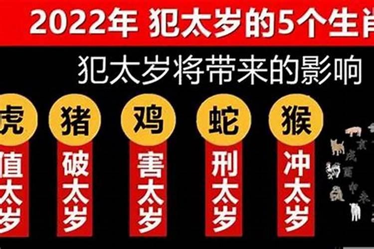 属马今年犯太岁吗2022年