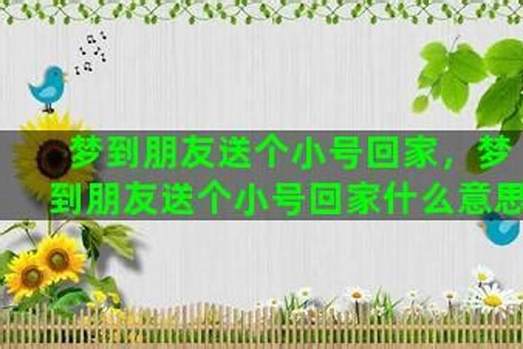 梦见姐夫送我回家什么意思