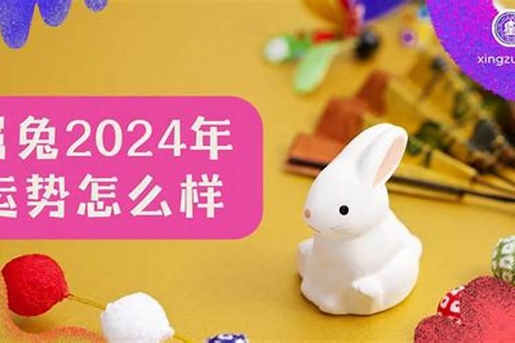 属龙的兔年运势2024年运程