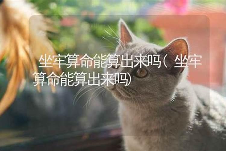 算卦能算出小三吗