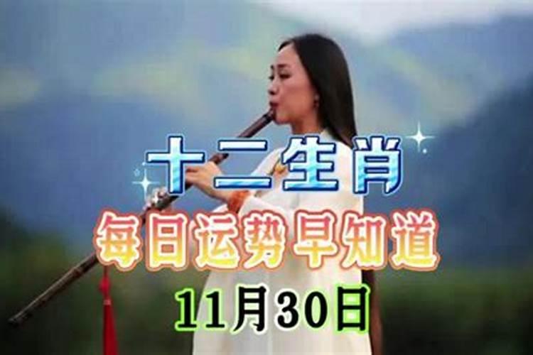 寅虎2021年11月11日生肖运势