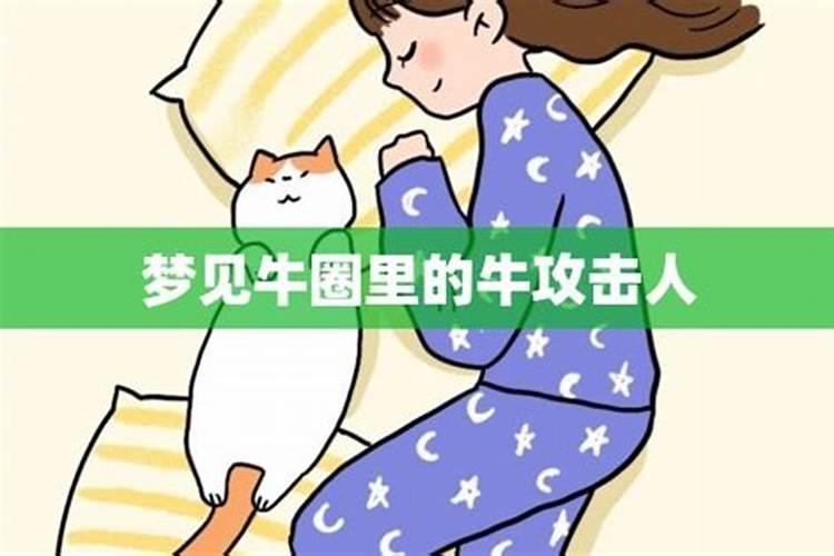 梦见住进牛圈