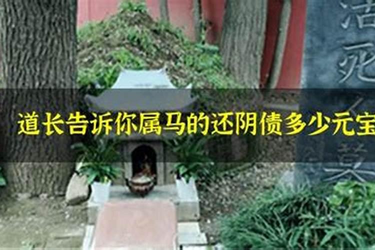 八字里比枭是什么意思