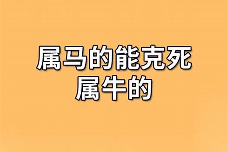 属马的人要远离属牛的人吗为什么