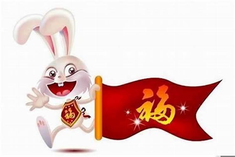 属兔的今年运势运气如何