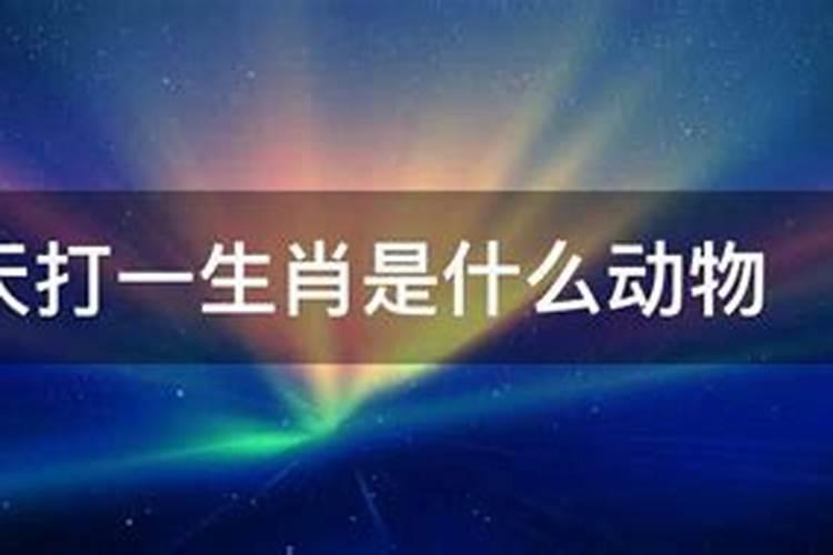 八字打一生肖是什么动物