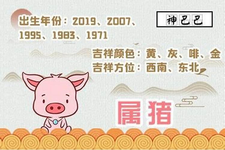 1983年猪年出生2024年运程
