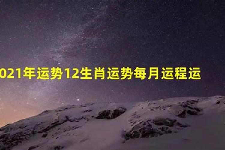 12属相运势2020年运势