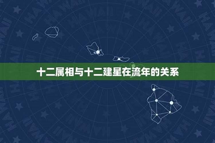 属相跟星座有科学依据吗