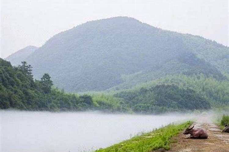 梦见漂亮的风景区