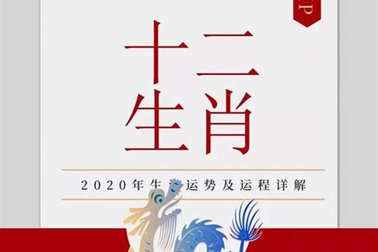 属龙人的运势2020年