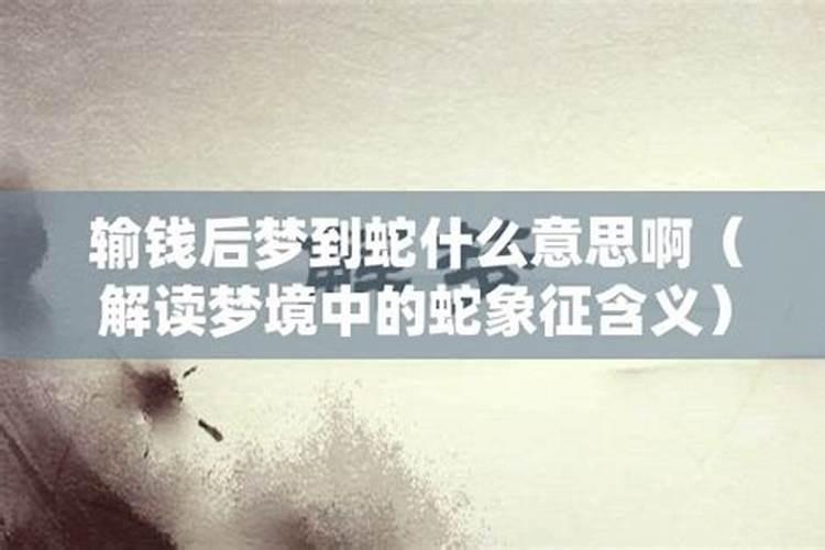 梦到大蛇什么意思啊