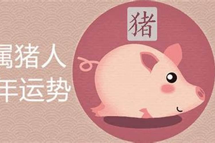 [year]年属猪哪个月的运势好