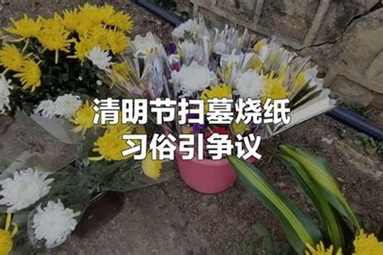 清明节禁止祭扫感慨