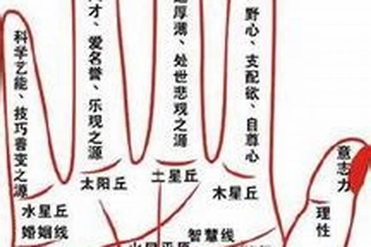 犯太岁害太岁是啥意思啊怎么化解