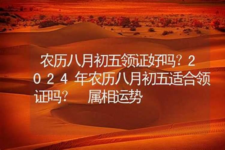 1996年农历8月初5属什么