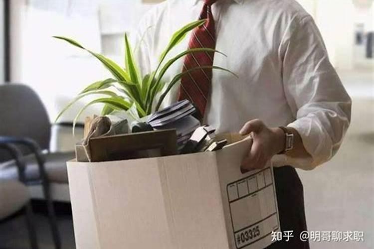 梦见辞职但是后悔了