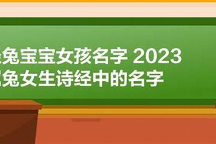 2023年属兔女孩名字