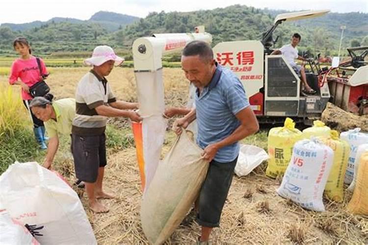 房子风水重要性是什么