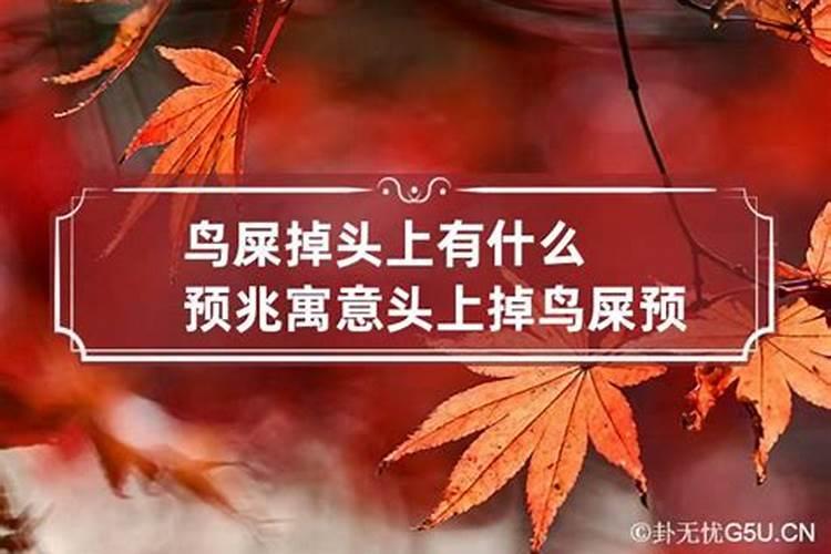 属老鼠今年犯太岁怎么办