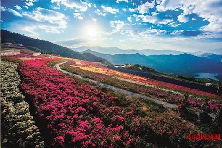 攀枝花哪里有风水大师