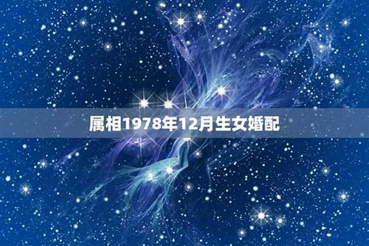 97年属牛2023年运势运程