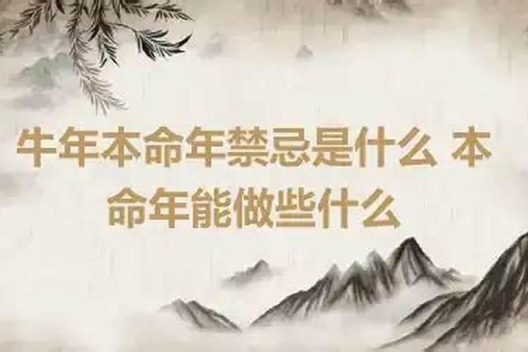 牛年本命年忌什么属性