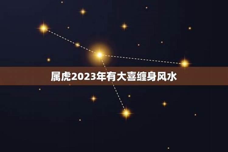 属虎2024年有大喜缠身