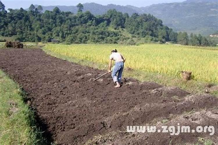 梦到铲地怎么回事周公解梦