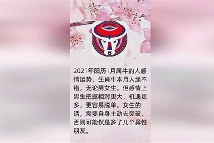 2023年阳历1月出生运势如何