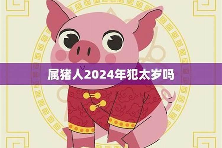 属狗人2024年运势如何看